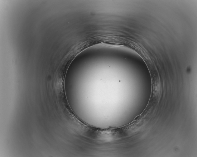 X0000095540473200712211352