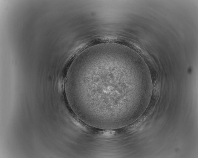 X0000095540474200712211352