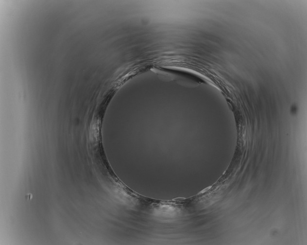 X0000095540475200712211352