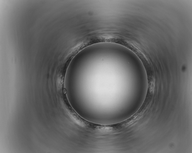 X0000095540476200712211352