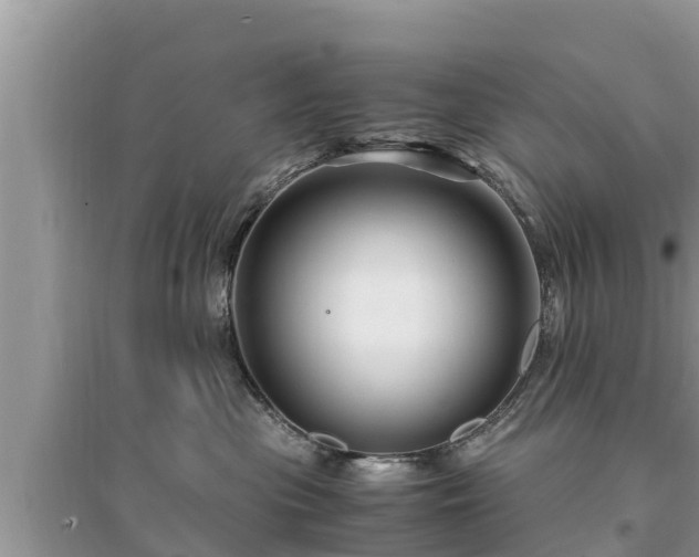 X0000095540477200712211352