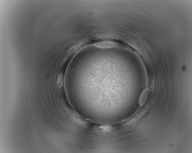 X0000095540478200712211352