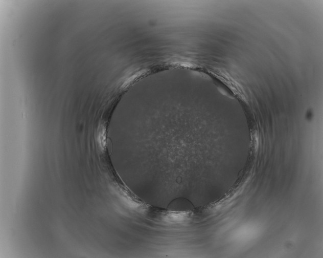 X0000095540479200712211352