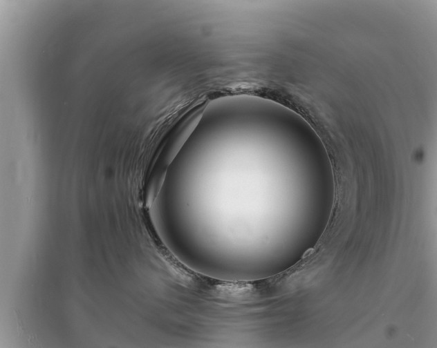 X0000095540480200712211352