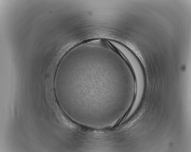 X0000095540481200712211351