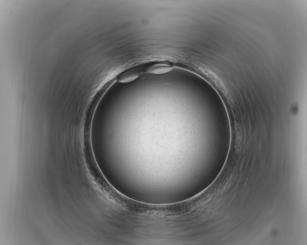 X0000095540482200712211351