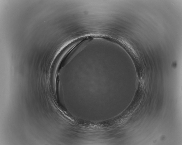 X0000095540484200712211351