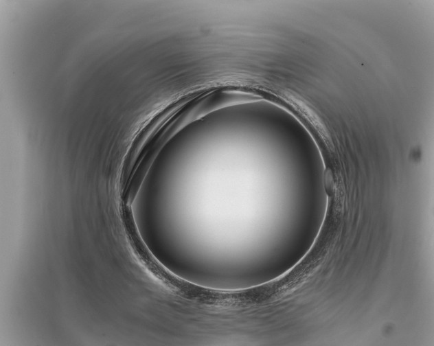 X0000095540485200712211351