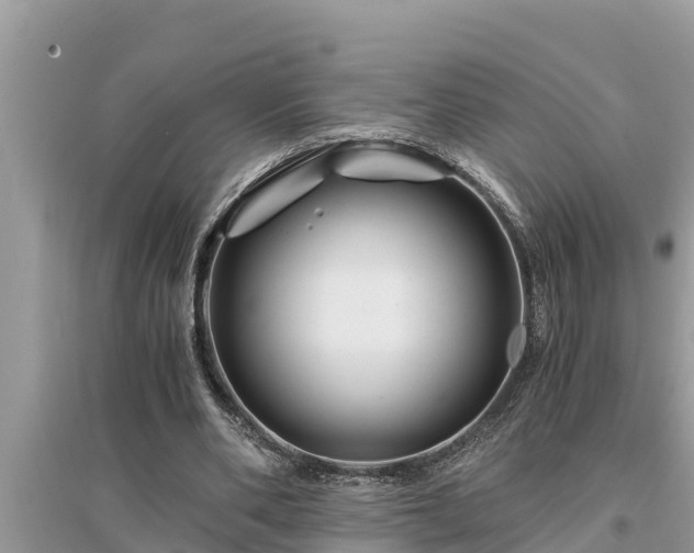 X0000095540486200712211351