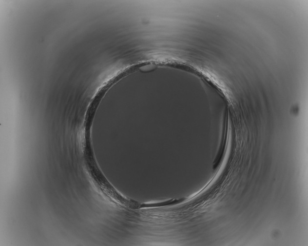 X0000095540488200712211351