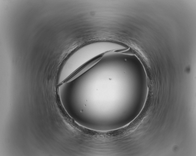 X0000095540489200712211351