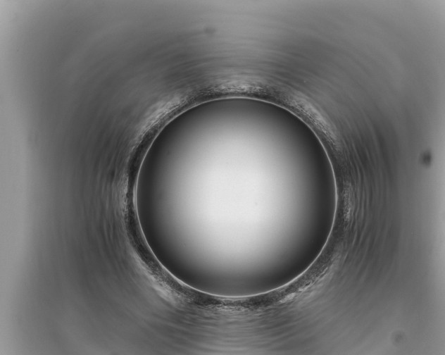 X0000095540490200712211351