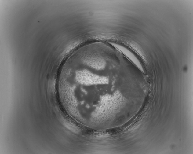 X0000095540491200712211351