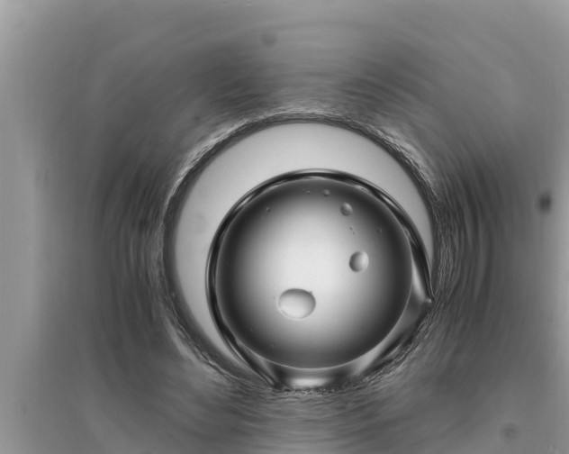 X0000095540492200712211351