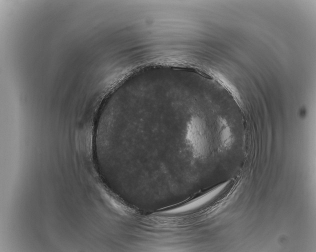 X0000095540493200712211351