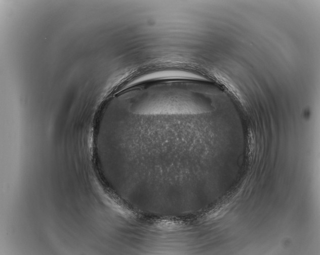 X0000095540494200712211351