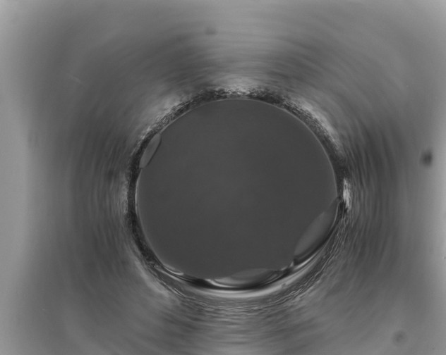 X0000095540496200712211351