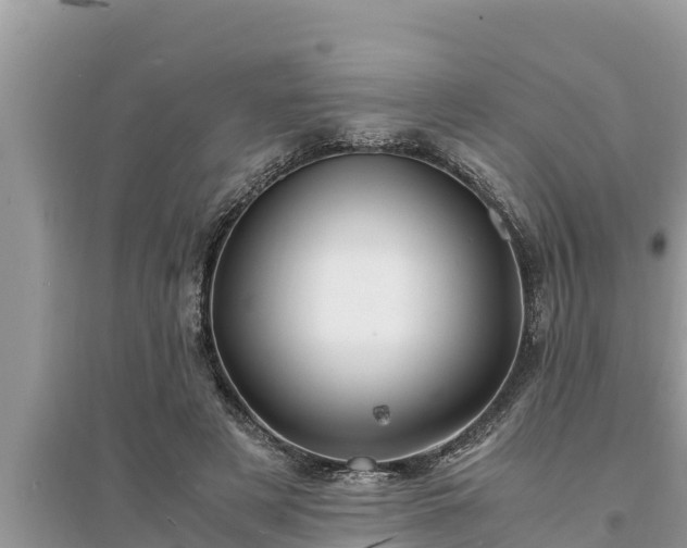 X0000095540497200712211351