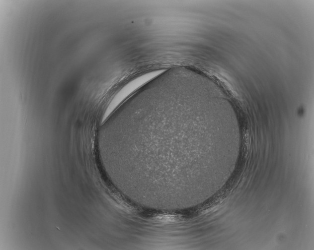 X0000095540499200712211351