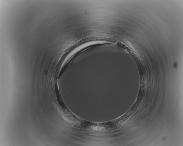 X0000095540500200712211351