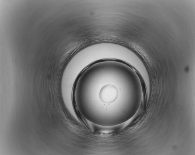 X0000095540501200712211351