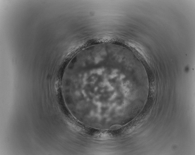 X0000095540503200712211351