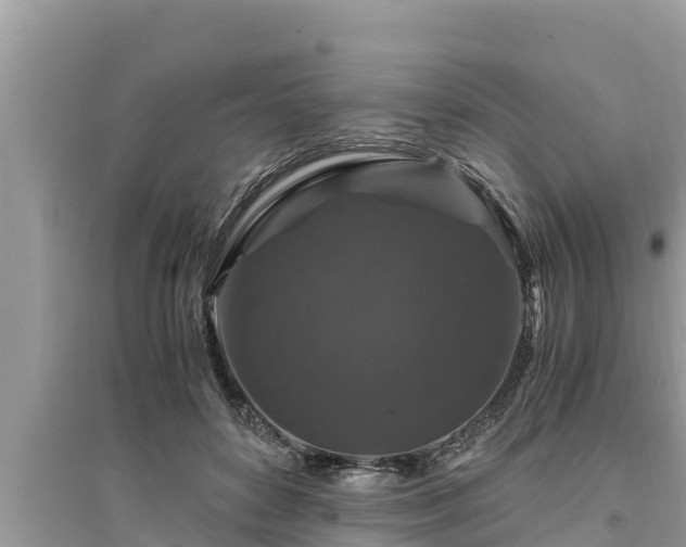 X0000095540504200712211351