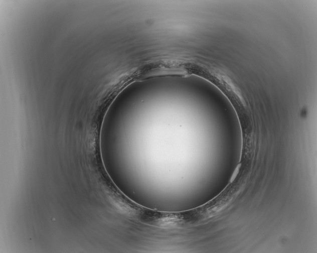 X0000095540505200712211351