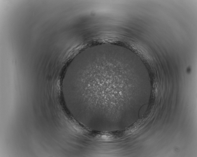 X0000095540506200712211351