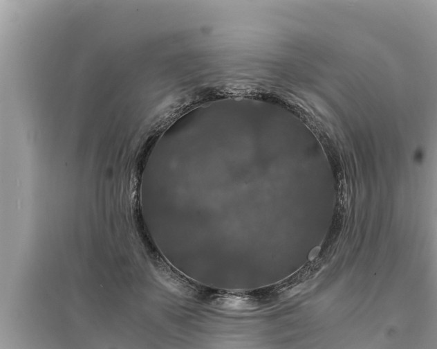 X0000095540507200712211351