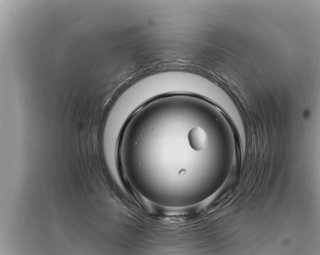 X0000095540508200712211350