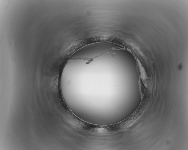 X0000095540509200712211350