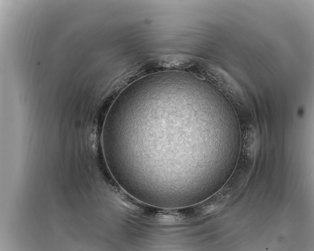 X0000095540510200712211350