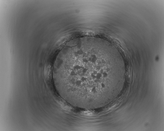 X0000095540511200712211350