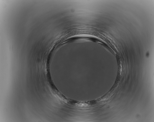 X0000095540512200712211350