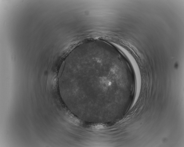 X0000095540513200712211350