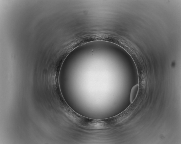 X0000095540514200712211350