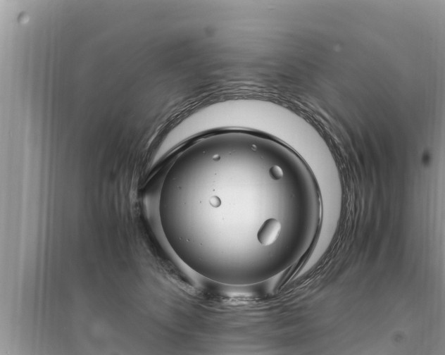 X0000095540516200712211350