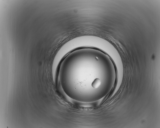 X0000095540517200712211350