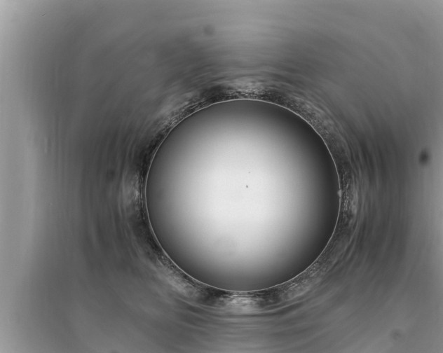 X0000095540518200712211350