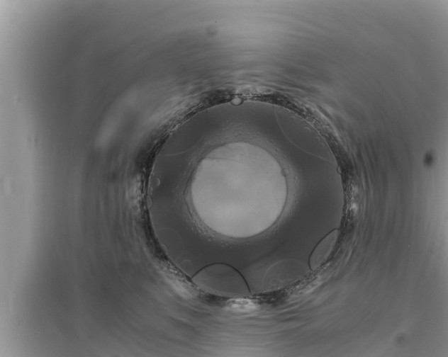 X0000095540519200712211350