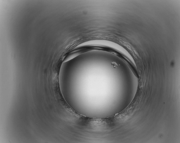 X0000095540521200712211350