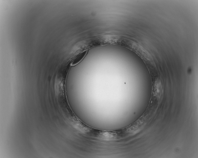 X0000095540522200712211350