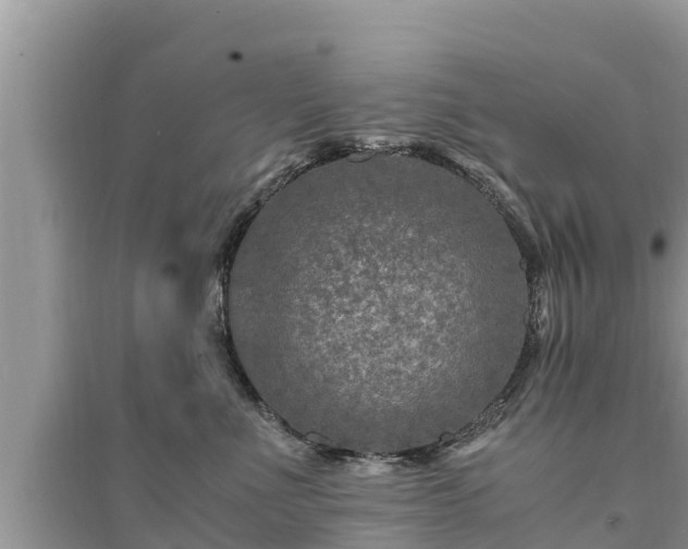 X0000095540523200712211350