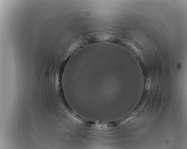 X0000095540524200712211350