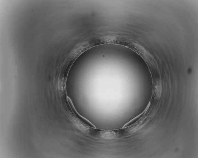 X0000095540525200712211350