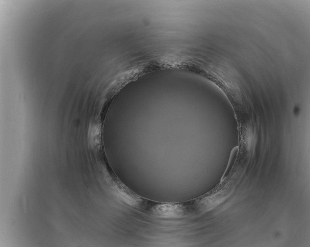 X0000095540526200712211350