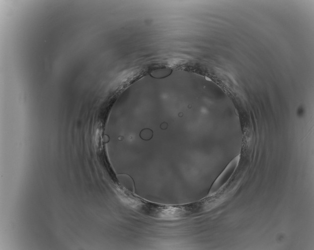 X0000095540527200712211350