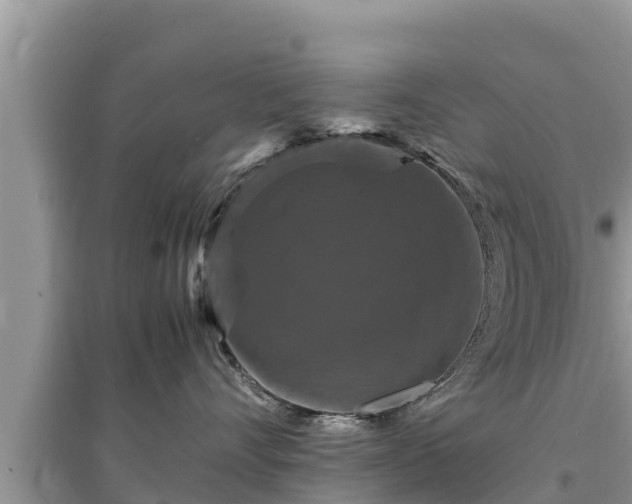 X0000095540528200712211350