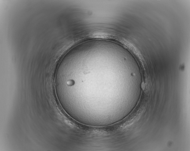 X0000095540529200712211349